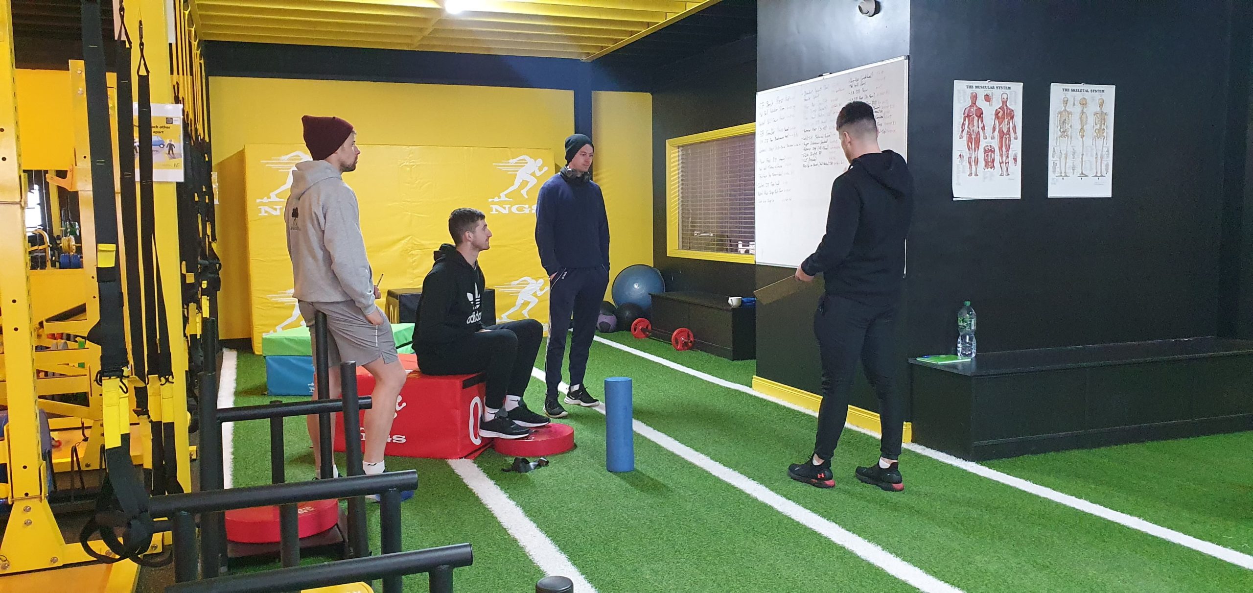 Shane Flynn Fitness | NGS Gym Mullingar | NGS Injury Clinic Mullingar | Shane Flynn Personal Trainer | Online PT Ireland | Gym Equipment Ireland | Home Workout Equipment Ireland |Athlete webinar